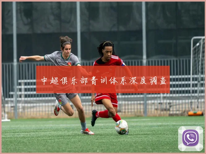 中超俱乐部青训体系深度调查