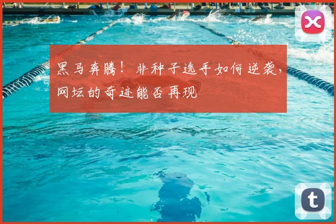 黑马奔腾！非种子选手如何逆袭，网坛的奇迹能否再现
