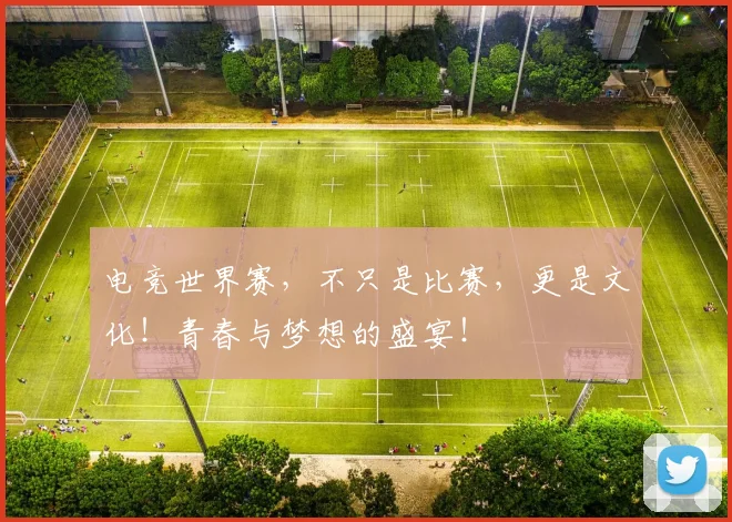 电竞世界赛,不只是比赛,更是文化!青春与梦想的盛宴!