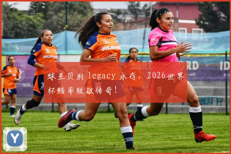 球王贝利 legacy 永存，2026世界杯赔率致敬传奇！