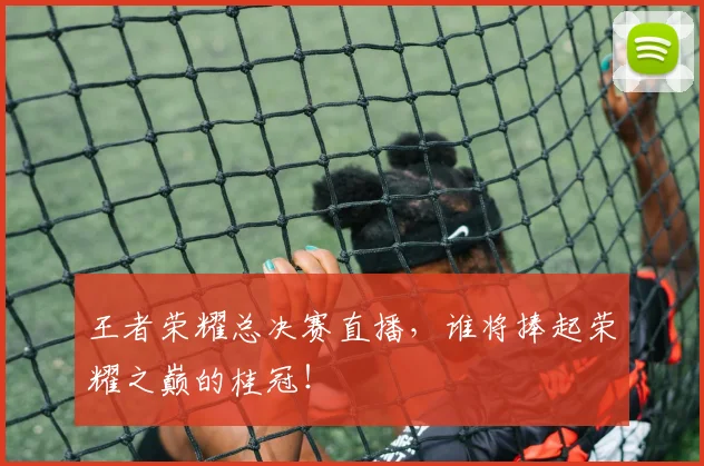 王者荣耀总决赛直播，谁将捧起荣耀之巅的桂冠！