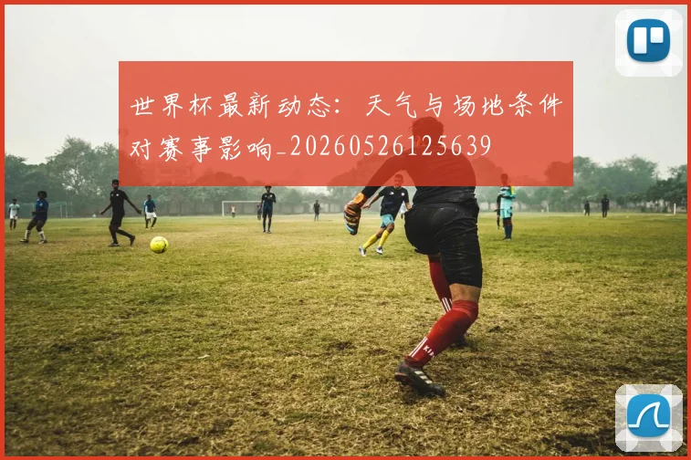 世界杯最新动态：天气与场地条件对赛事影响_20260526125639