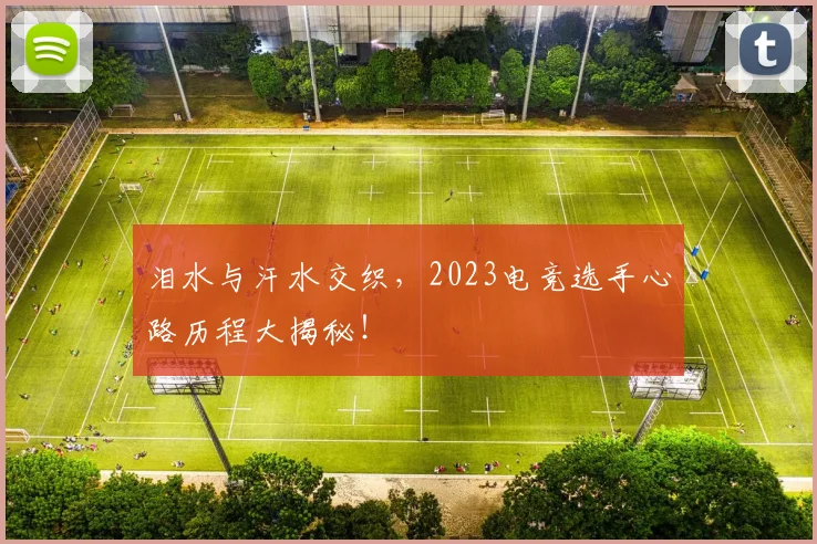 泪水与汗水交织，2023电竞选手心路历程大揭秘！